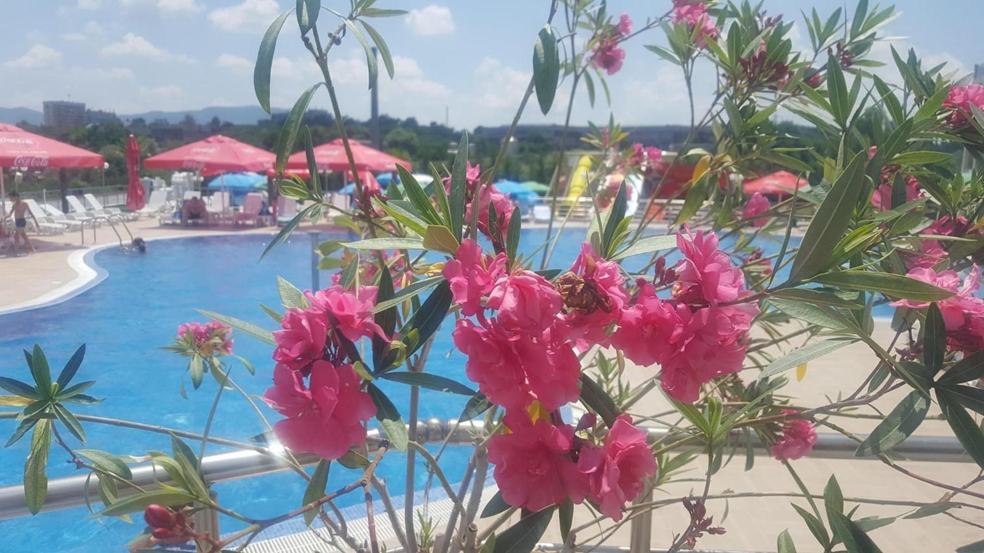 Hotel Aqua Kŭrdzhali المظهر الخارجي الصورة